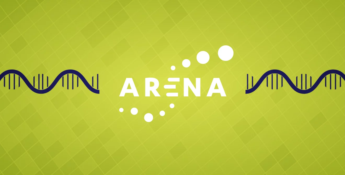 arena - mission - action
