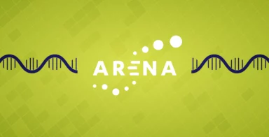 arena - mission - action