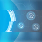 fisq-2025-visual