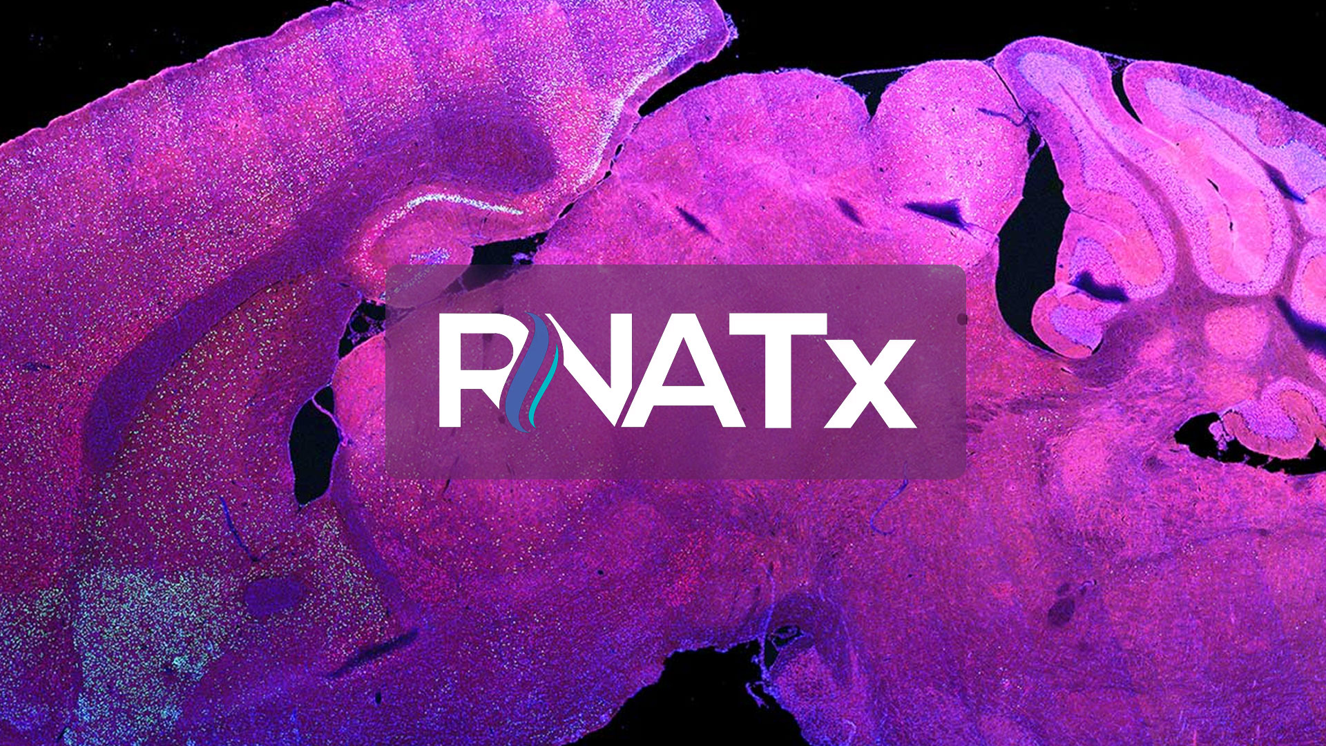 8th Annual RNATx Symposium | AReNA