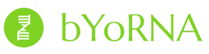byorna logo