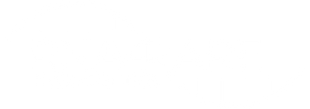 rna4rare logo